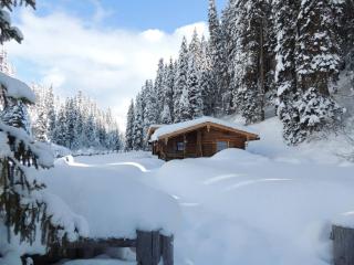 Almnest in Hochfügen mit privat SPA - Hochfugen - 6