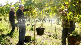 Quinta Da Longra - Vizela - 3