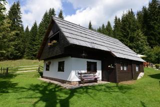 Holiday house Žvan na Pokljuki - Bohinj - 9