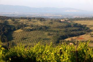 Casale Sterpeti - Magliano in Toscana - 6