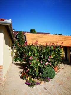 Ráday Apartman - Makó - 3