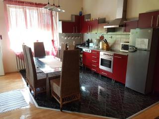 Szőke Tisza Vendégház - 5