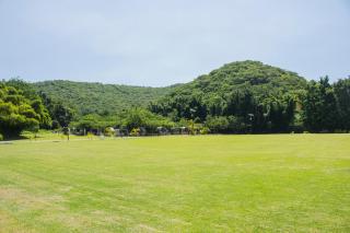 El Rollo Camping - 2