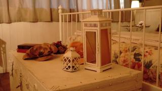 Etna Shelter Holiday House - Mascalucia - 1