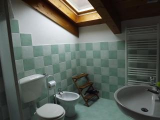 Maggiociondolo - Venasca - 1