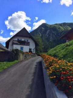 Apartma Stenar - Mojstrana - 7