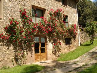 Mas El Bosquet - Joanetes - 3