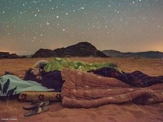 Desert Bird Camp - 5