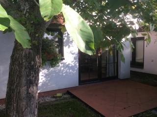 Bungalow unterm Walnussbaum Dorfstr.96 - Breege - 8