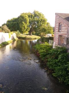 Hôtel du Cygne - LʼAigle - 1