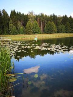 Nijolės sodyba - Aukštadvaris - 9