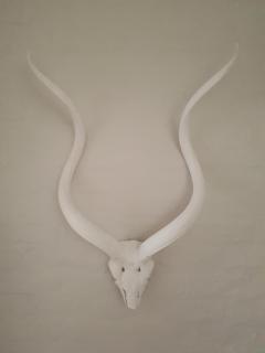 Raw Karoo Guest House - Oudtshoorn - 2