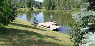 Nijolės sodyba - 6