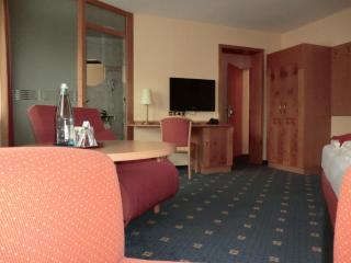 Hotel Altenberg - Baden-Baden - 4