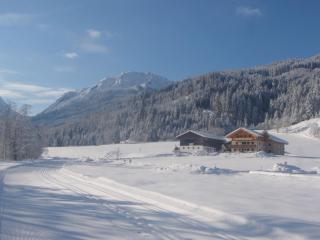 ARCHE Hof Öbristhof - 3
