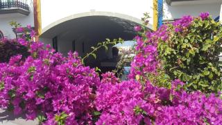 Casa Little Venice in Puerto de Mogan - Puerto de Mogán - 0