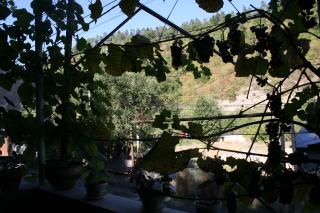 Guest House Nima - 6