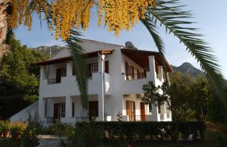 Stavroula Apartment - Agios Gordios - 4