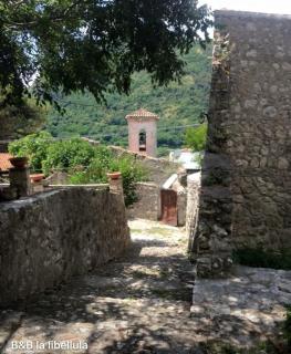 B&B La Libellula - Pratella - 5