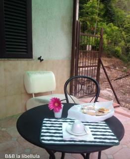 B&B La Libellula - Pratella - 4