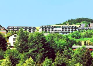 H+ Hotel Willingen - Willingen - 6