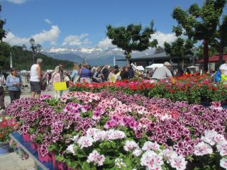 Le Grand Panorama No11 - Saint-Gervais-les-Bains - 2