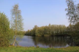 Veenhoes - Vriescheloo - 1
