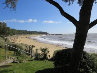 18 Rue de la Corvette - Saint-Palais-sur-Mer - 7