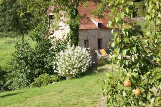 Hotel du Moulin aux Draps - Desvres - 2