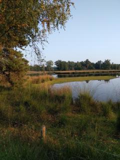 B&B Agnetenhoeve - Overasselt - 1