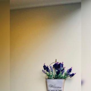 Wendy‘s - Auckland - 2