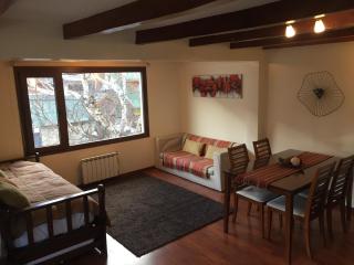 Abedul Apartamentos - San Martín de los Andes - 2