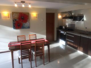 Abedul Apartamentos - San Martín de los Andes - 6