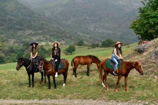 Gayane Hotel - Alaverdi - 4