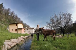 Agriturismo Mulino La Vallina - Quero - 2