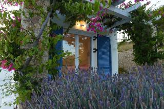 Villa Gournes Resort - Porto Cheli - 1