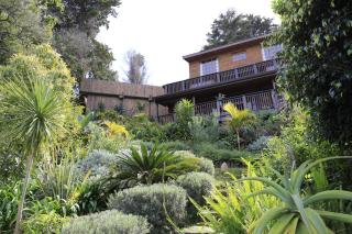 Big Tree House Lodge - Knysna - 4