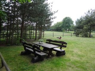 Finnhütte Fisch - Wittenbecker Tannen - Wittenbeck - 4