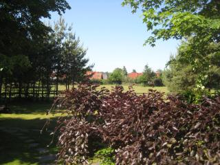 Finnhütte Fisch - Wittenbecker Tannen - Wittenbeck - 1