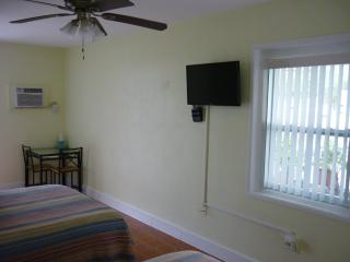 Palm Court Motel - Dunedin - 2