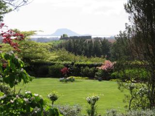 Three Gables B&B - Whakamarama - 9
