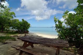 Studio Capucine - Sainte-Anne - 0