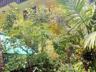 Aguiar guest House - Colva - 7