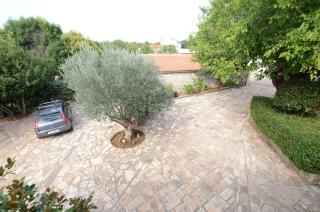 Apartments Josip - Pavicini - 1