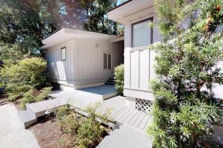 Surfscoter Home - 4