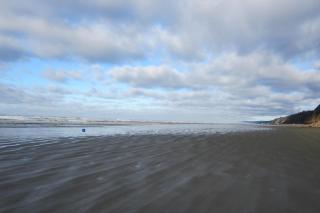 Sea Oats - Pacific Beach - 6