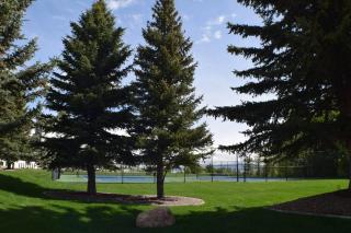 Tennis Court Condo - Garden City - 6