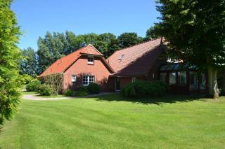 Austernfischer - Reitland - 8