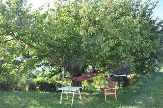 Gite Abricotier - Crozes-Hermitage - 6