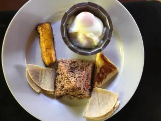 Manatus Hotel - Tortuguero - 2